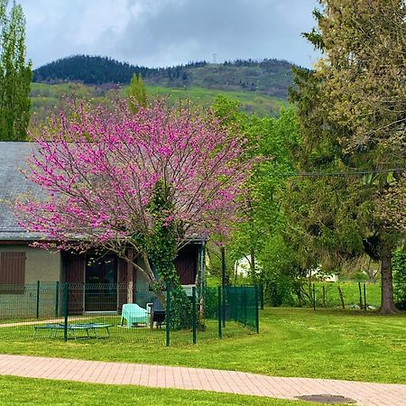 La Suite Unique - Le Jardin Sur Les Pyrenees- Vue Panoramique Montagne -Jardin Cloture Prive De 100M2-Parking-Linge De Lit Et Serviettes Compris- Bielle Екстер'єр фото
