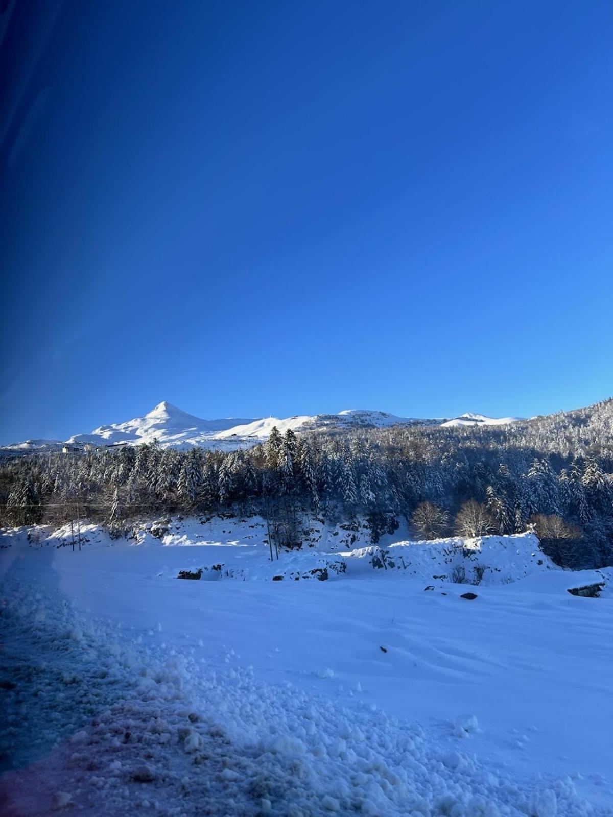 La Suite Unique - Le Jardin Sur Les Pyrenees- Vue Panoramique Montagne -Jardin Cloture Prive De 100M2-Parking-Linge De Lit Et Serviettes Compris- Bielle Екстер'єр фото