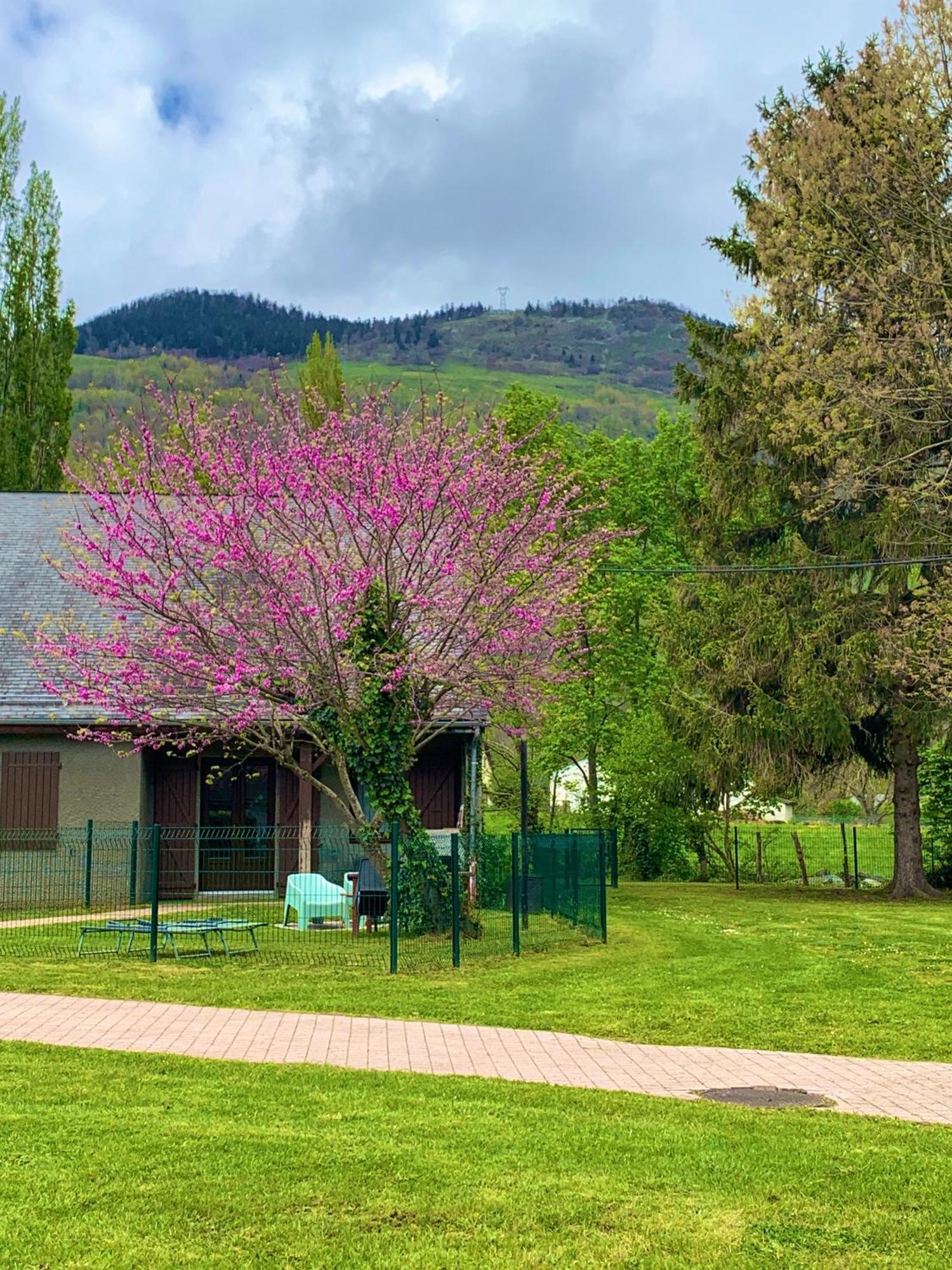 La Suite Unique - Le Jardin Sur Les Pyrenees- Vue Panoramique Montagne -Jardin Cloture Prive De 100M2-Parking-Linge De Lit Et Serviettes Compris- Bielle Екстер'єр фото